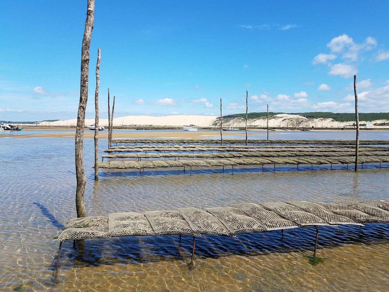 huitres-banc-arguin.jpg Dégustation d’huîtres fraîches au Banc d’Arguin face à la Dune du Pilat