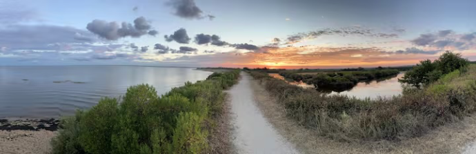 sentier-littoral-le-teich.jpg Promenade sur le sentier littoral du Teich, entre forêt et panorama sur le bassin